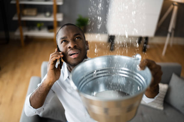 Best Water damage restoration near me  in Cera, AL