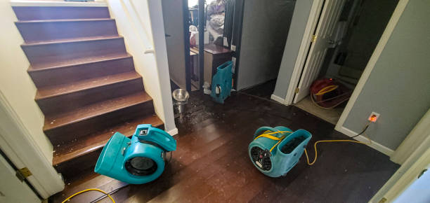 Best Water damage restoration services  in Cera, AL
