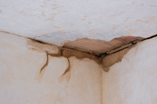 Best Water damage contractors near me  in Cera, AL