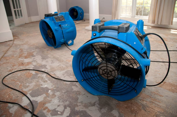 Best Basement water damage restoration  in Cera, AL