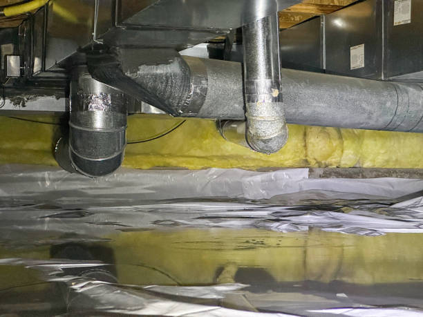 Best Water damage restoration near me  in Cera, AL