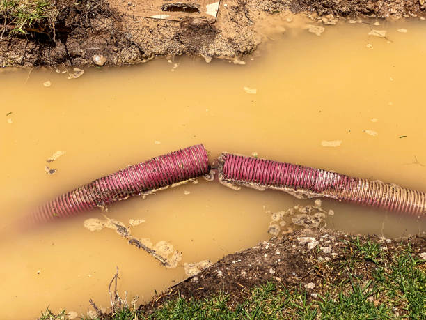 Best Water damage cleanup near me  in Cera, AL