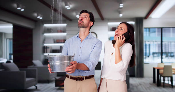 Best Flooded house restoration  in Cera, AL