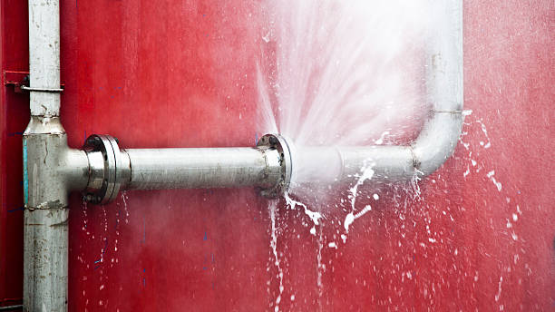 Best Flood damage cleanup  in Cera, AL